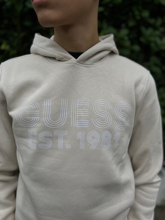 Felpa Guess Beige Uomo