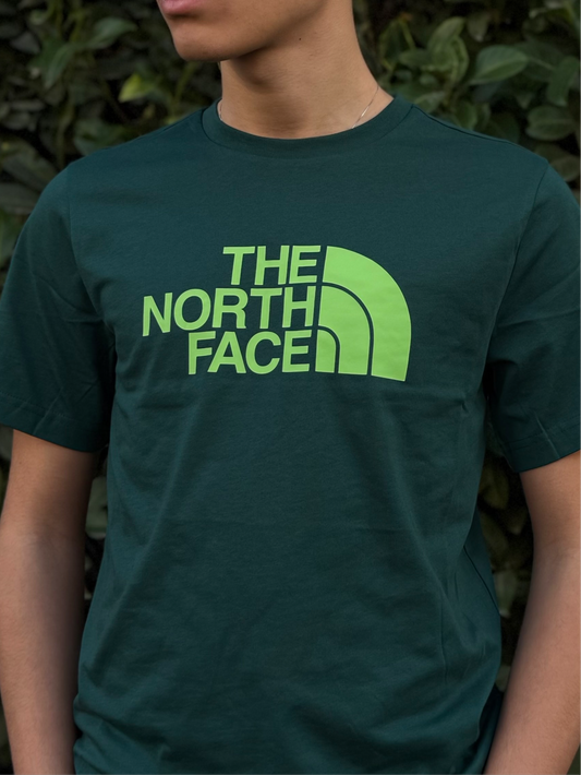 T-Shirt The North Face "EASY" Verde Uomo