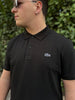 Polo Lacoste Uomo