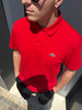 Polo Lacoste Uomo