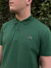 Polo Lacoste Uomo
