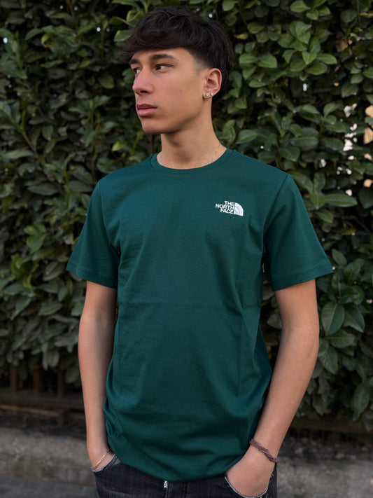 T-Shirt The North Face "Box Nse Celebration" Verde Uomo