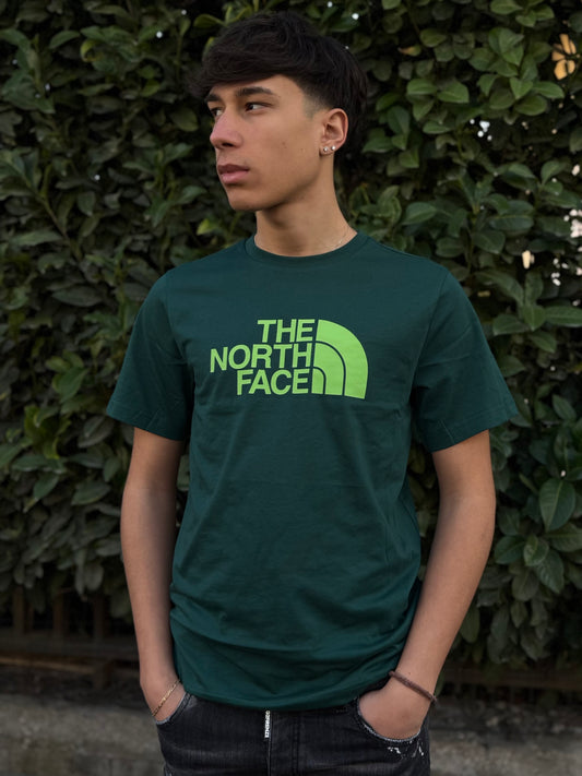 T-Shirt The North Face "EASY" Verde Uomo