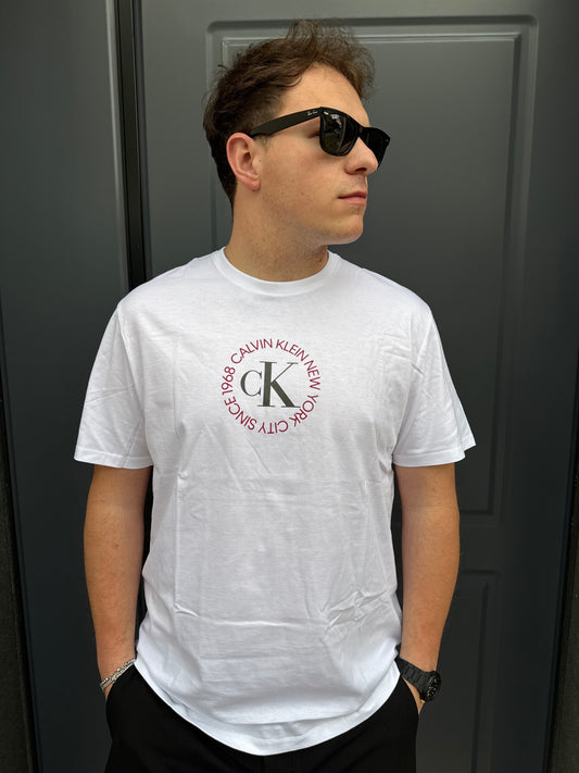 T-Shirt Calvin Klein Monogramma Uomo