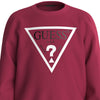 Felpa Guess Basic Bambino