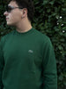 Felpa Lacoste Uomo